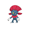 weavile.png